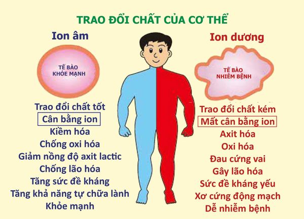 Ý nghĩa của Ion âm đến sức khỏe của con người