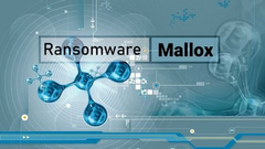 Phục hồi dữ liệu bị virus mã hóa, hacker tống tiền MALLOX