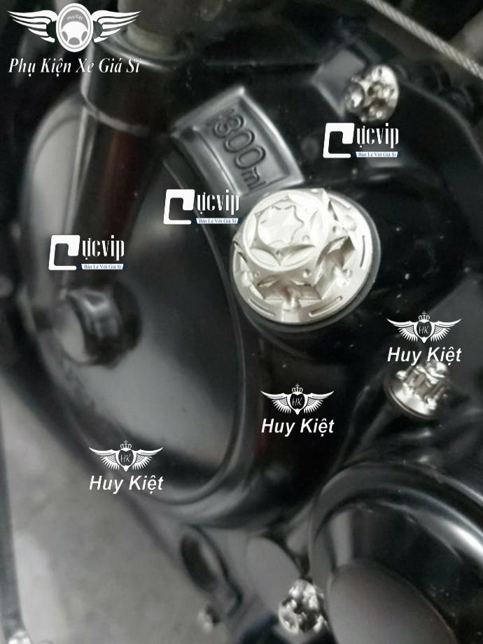 Combo 3 Ốc Mâm Lửa, Nút Đề Và Ốc Nhớt Salaya Inox 304 [Bông D3], [Thái] Cho Wave, Dream, Future, Sonic, Sirius, Exciter, Jupiter, Winner V1, Winner X V2 V3 MS6690