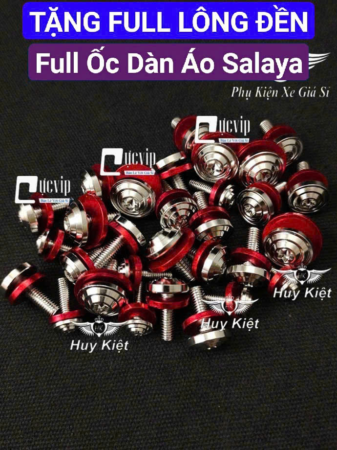 [TẶNG FULL LÔNG ĐỀN] FULL Bộ Ốc Dàn Áo Salaya Phay Thái [INOX 304] Lắp Nhiều Dòng Xe MS9934