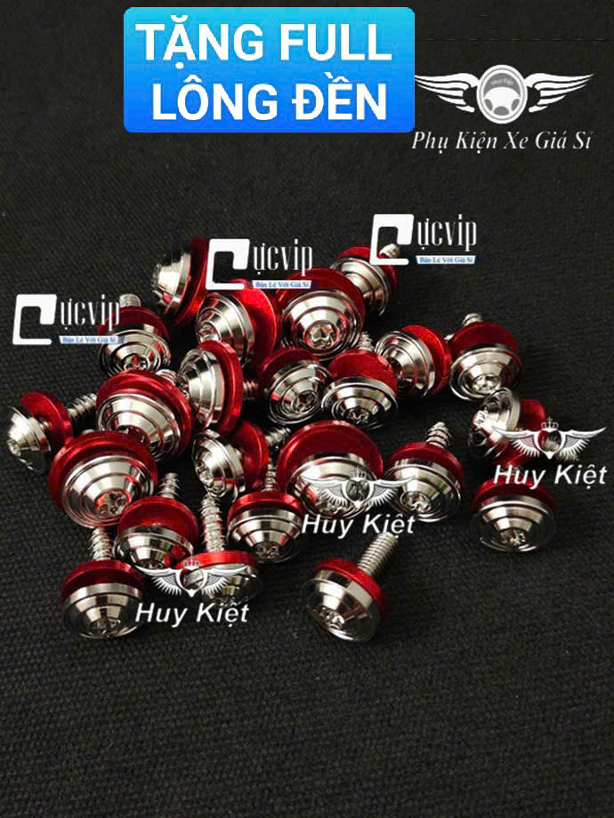 [TẶNG FULL LÔNG ĐỀN] FULL Bộ Ốc Dàn Áo Salaya Phay Thái [INOX 304] Lắp Nhiều Dòng Xe MS9934