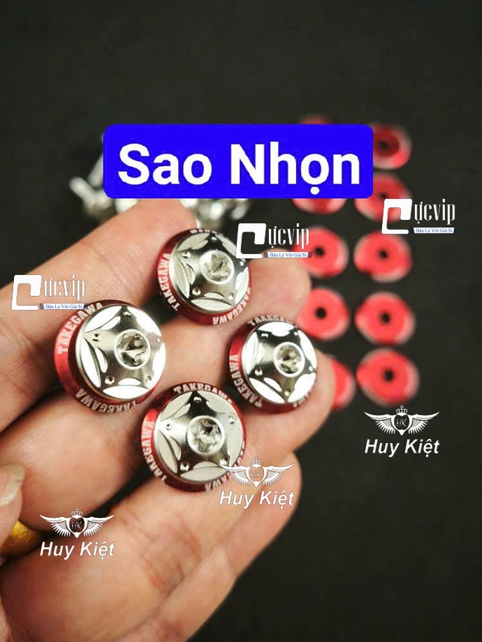 [Tặng 10 LĐ TAKEGAWA Đỏ] FULL Bộ Ốc Dàn Áo SALAYA INOX 304 Lắp Các Dòng Xe Wave Dr Si Fu Ex Win Vario AB... MS9945