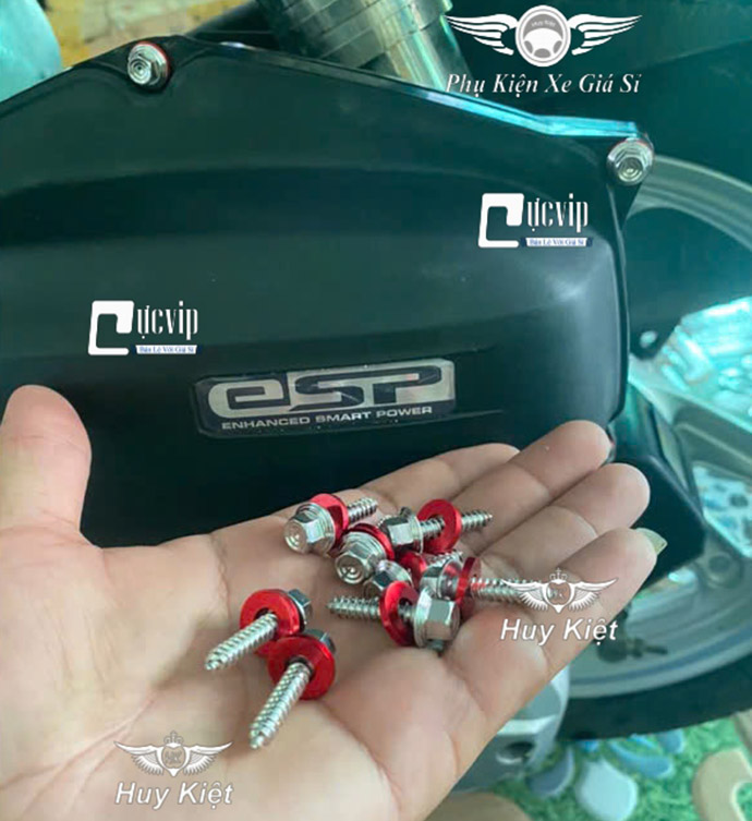 [Tặng Lông Đền Xanh] Combo Ốc Salaya 5 Li Xoắn INOX 304 Gắn Lọc Gió, Pô E Vario AB, Vision, NVX, SH, PCX, Click, ADV, SH Mode, Lexi, Lead MS9929