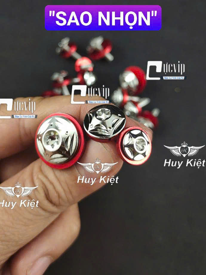 [TẶNG FULL LÔNG ĐỀN ĐỎ] FULL BỘ Ốc Dàn Áo Salaya Sao Nhọn, Phay Thái [INOX 304] Lắp Nhiều Dòng Xe MS9935