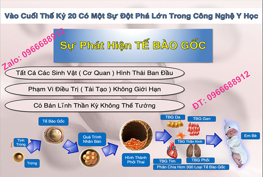 Đại Lý Tế Bào Gốc Nhau Thai Hưu New Zealand CHÍNH HÃNG Purtier 7th Edition Phiên bản 7, Thế Hệ 7, Đời thứ 7 CAM KẾT HÀNG THẬT (Mua 1 Tặng 1)