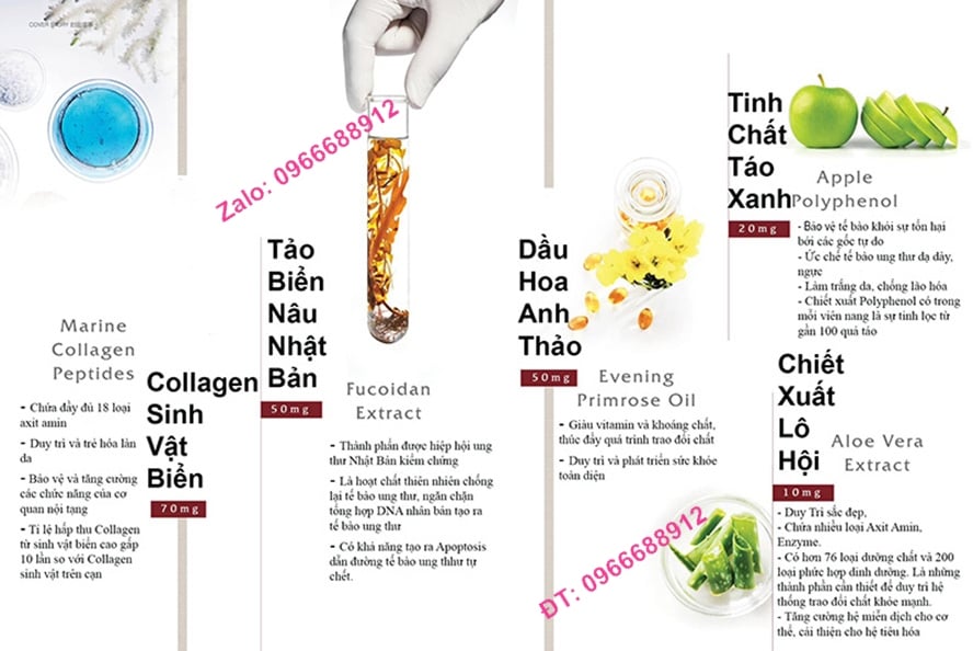 Tế Bào Gốc Nhau Thai Hưu Purtier 7th Edition CAM KẾT HÀNG THẬT Phiên bản 7, Thế Hệ 7, Đời thứ 7 (Mua 1 Tặng 1)