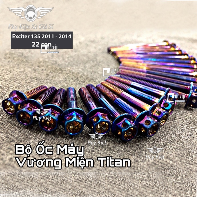 Bộ Ốc Máy Exciter 135 (2011 - 2014) Vương Miện Titan MS2121