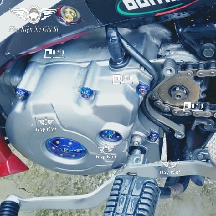 Bộ Ốc Máy Raider, Satria Vương Miện Titan MS2124