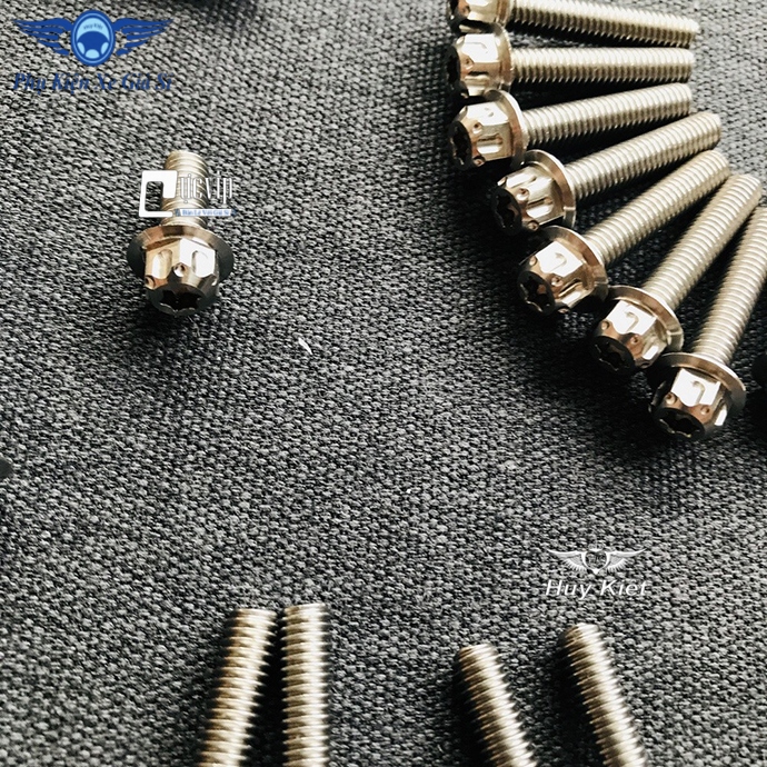 Bộ Ốc Máy Winner 150 Salaya MS1891