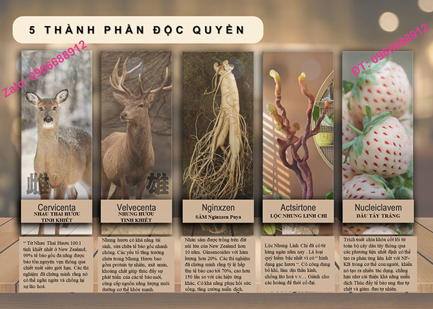 Cách So Sánh Tế Bào Gốc Nhau Thai Hưu New Zealand HÀNG THẬT Purtier Placenta 7th Edition Phiên bản 7, Thế Hệ 7, Đời thứ 7 CHÍNH HÃNG (Mua 1 Tặng 1)