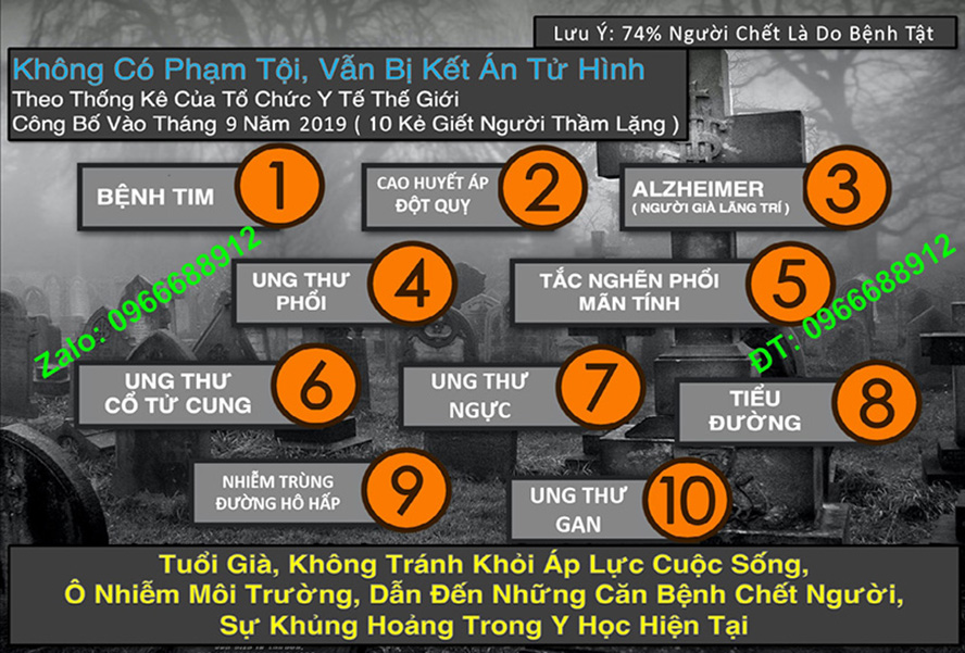 Cách So Sánh Tế Bào Gốc Nhau Thai Hưu New Zealand CHÍNH HÃNG Purtier 7th Edition Phiên bản 7, Thế Hệ 7, Đời thứ 7 CAM KẾT HÀNG THẬT (Mua 1 Tặng 1)