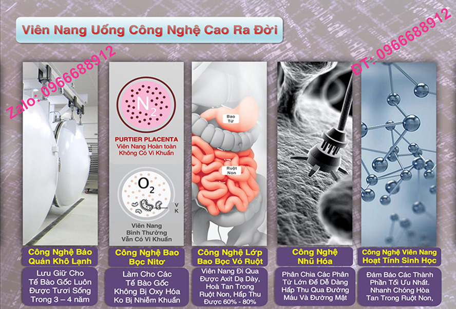 Cách So Sánh Tế Bào Gốc Nhau Thai Hưu New Zealand HÀNG THẬT -  CHÍNH HÃNG Purtier Placenta 7th Edition Phiên bản 7, Thế Hệ 7, Đời thứ 7 (Mua 1 Tặng 1)