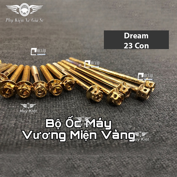 Bộ Ốc Máy Dream Vương Miện Vàng MS2163