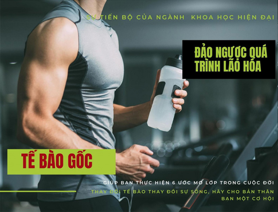 Làm Sao Nhận Biết Tế Bào Gốc Nhau Thai Hưu CHÍNH HÃNG Purtier 7th Edition Phiên bản 7, Thế Hệ 7, Đời thứ 7 CAM KẾT HÀNG THẬT (Mua 1 Tặng 1)