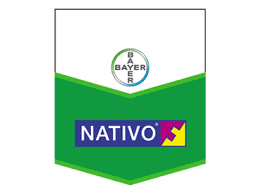 Thuốc trừ bệnh cây NATIVO 750WG: Giải pháp hiệu quả phòng trừ bệnh thán thư gây hại trên cây trồng