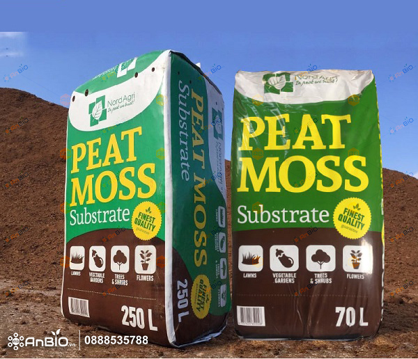 Rêu Than Bùn PEAT MOSS Substrate – Sự Kết Hợp Tối Ưu Đối Với Sự Phát Triển Cây Trồng