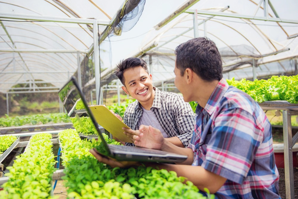 THÔNG BÁO TUYỂN DỤNG Vị trí: Nhân viên Bán hàng tại văn phòng (Chuyên ngành Thuốc Bảo Vệ Thực Vật)
