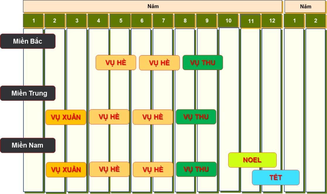 Hình 4: Các vụ dưa hấu chính trong năm.