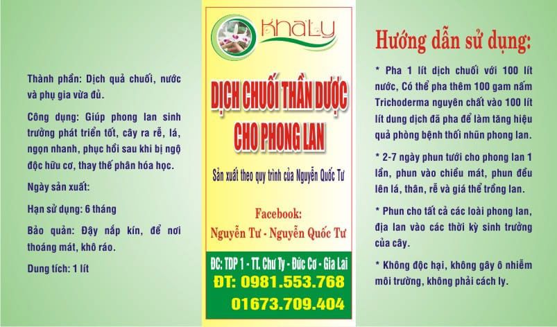 Dich chuối than duoc cho hoa lan