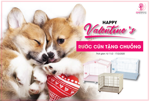 Happy Valentine - Rước Cún Tặng Chuồng
