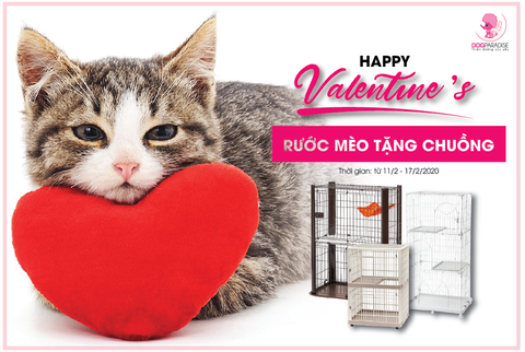 Happy Valentine - Rước Mèo Tặng Chuồng