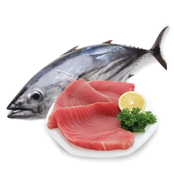 thức ăn cho mèo vị cá ngừ