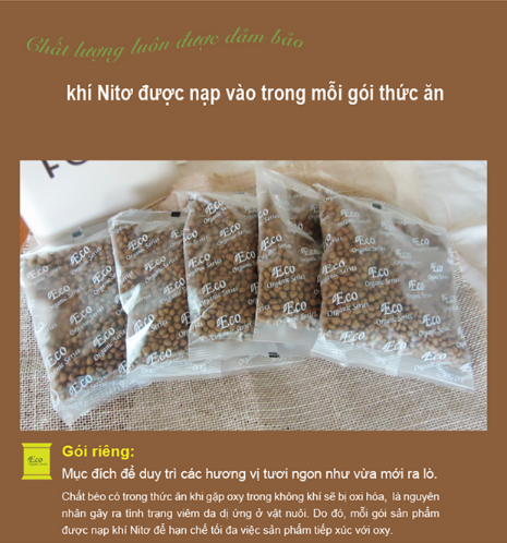 thức ăn cho chó