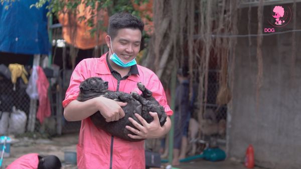 grooming trại cứu hộ động vật