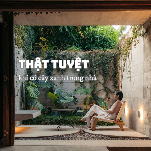 loi-ich-cay-xanh-nha-o