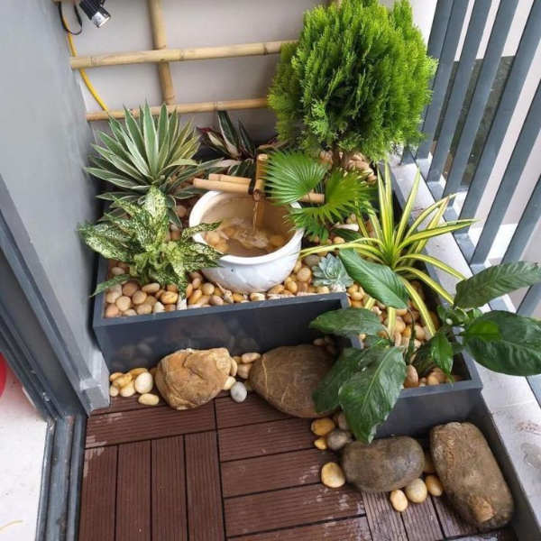 chậu cây xanh dễ chăm trên ban công chill