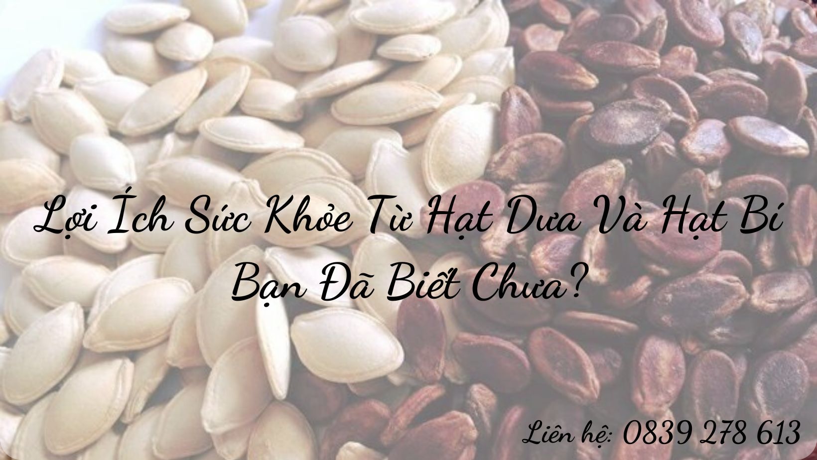 Lợi Ích Sức Khỏe Từ Hạt Dưa Và Hạt Bí: Bạn Đã Biết Chưa?