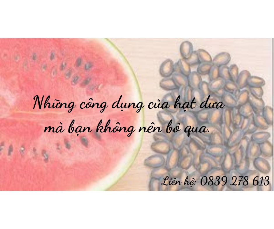 Những công dụng của hạt dưa mà bạn không nên bỏ qua.