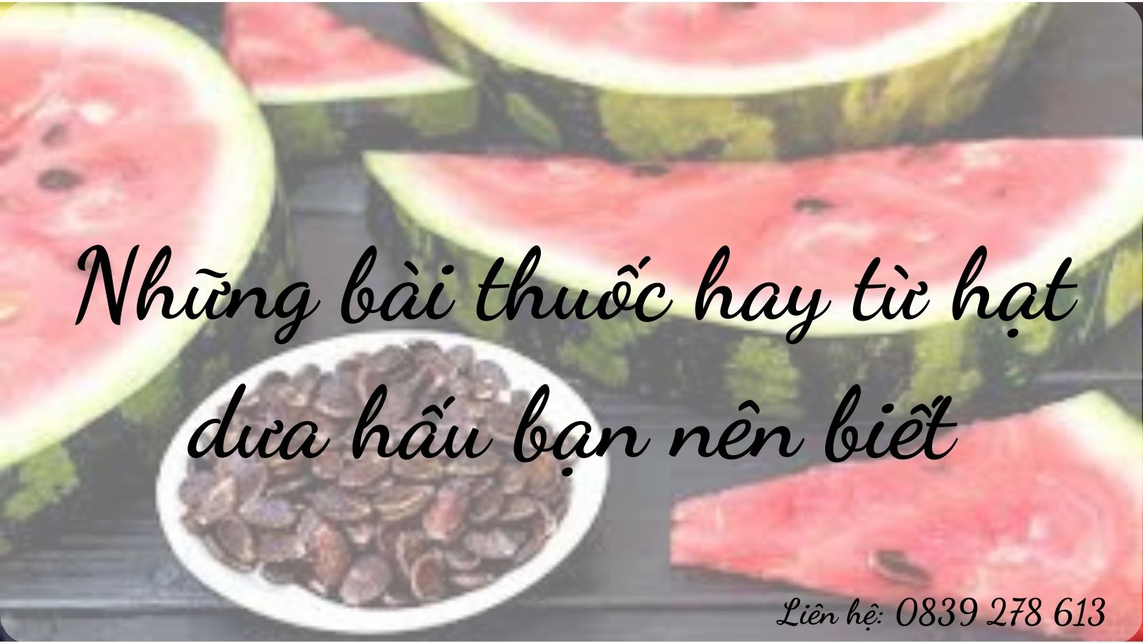 Những bài thuốc hay từ hạt dưa hấu bạn nên biết