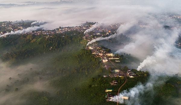 Việt Nam sẽ chịu thiệt hại 2,8% GDP mỗi năm vì suy thoái môi trường tự nhiên