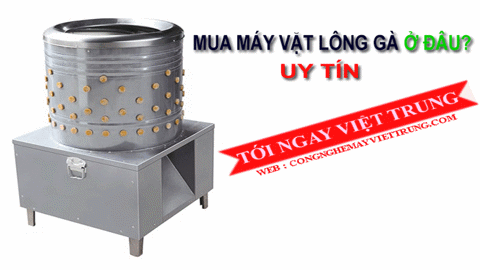 Topics tagged under máy-vặt-lông-gà on Rao vặt 24 - Diễn đàn rao vặt miễn phí | Đăng tin nhanh hiệu quả Vlg_large_57cd9107f70f4e128ada630d2392b2a2_1024x1024