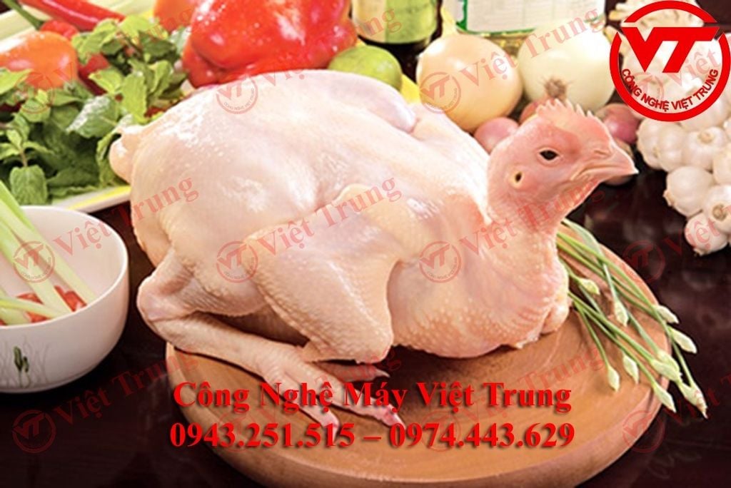 Topics tagged under máy-vặt-lông-gà on Rao vặt 24 - Diễn đàn rao vặt miễn phí | Đăng tin nhanh hiệu quả Vt__1__3e19dc39a5f2483bbd4d03b7c6f8f762_master_d6bcacc55cd04572a44e5a0eb0a862ae_1024x1024