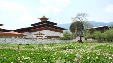 Kyichu Lhakhang, Bhutan