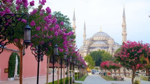 Nhà thờ Hồi giáo Sultan Ahmed Istanbul, Thổ Nhĩ Kỳ
