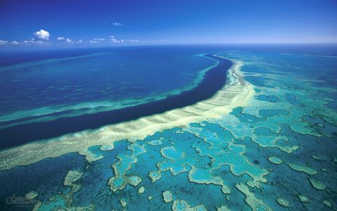 Hệ thống đá ngầm san hô Great Barrier (Úc) lớn nhất hành tinh
