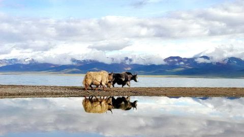 Hồ Namtso, hồ có diện tích lớn nhất Tây Tạng