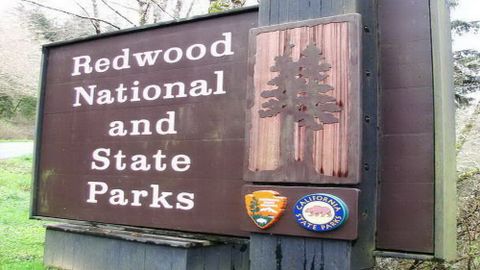 Vườn quốc gia Redwood, bang California, Hoa Kỳ