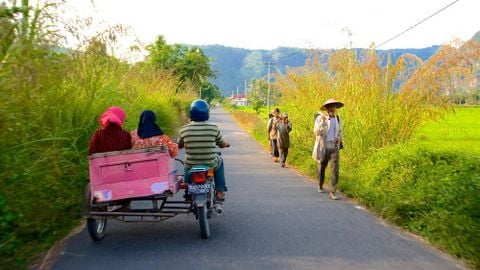 Di sản rừng nhiệt đới ở Sumatra, Indonesia