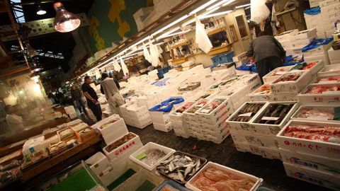 Chợ cá Tsukiji, Chuo, Tokyo