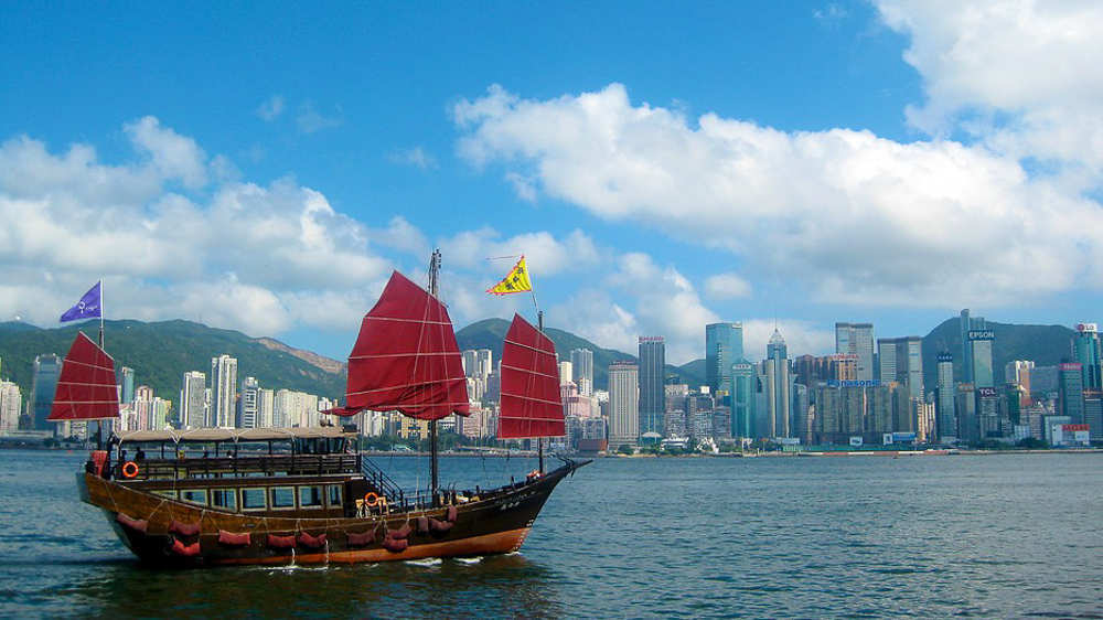 Tim_Sa_Chuoi_Hong_Kong