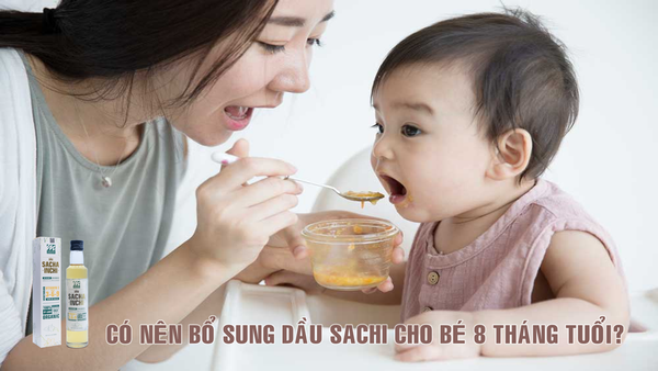 Có nên bổ sung dầu sachi cho bé 8 tháng tuổi ăn dặm?