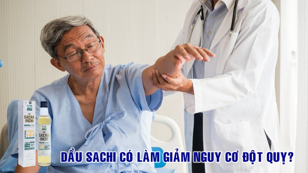 Dầu Sachi có làm giảm nguy cơ đột quỵ không?