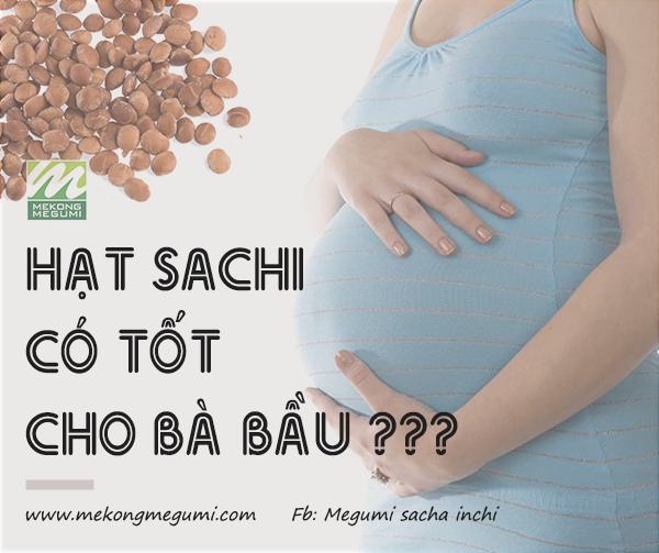 Hạt sachi có tốt cho bà bầu?