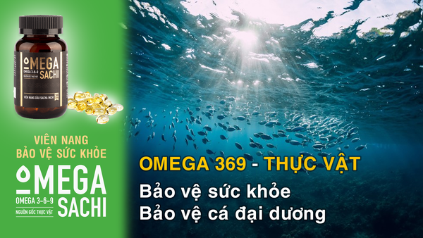 Omega 3 thực vật, Chăm sóc sức khỏe - Bảo vệ cá đại dương