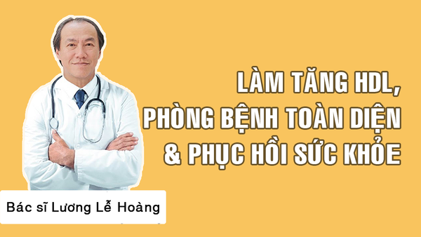 Hạt sachi làm tăng HDL, phòng bệnh toàn diện và phục hồi sức khỏe