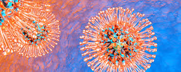 Virus Herpes loại 1 – Herpes miệng (HSV-1)